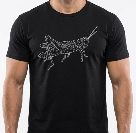 Playera Chapulín