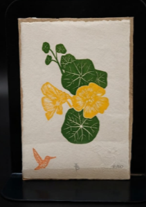 Grabado Capuchina