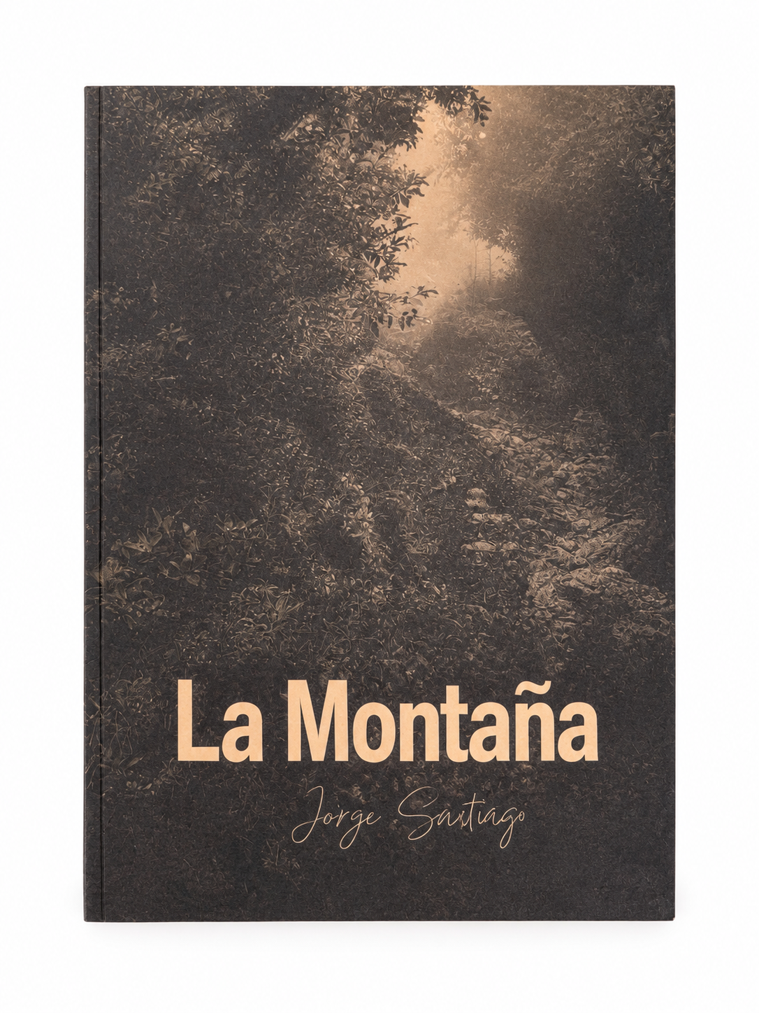 La Montaña