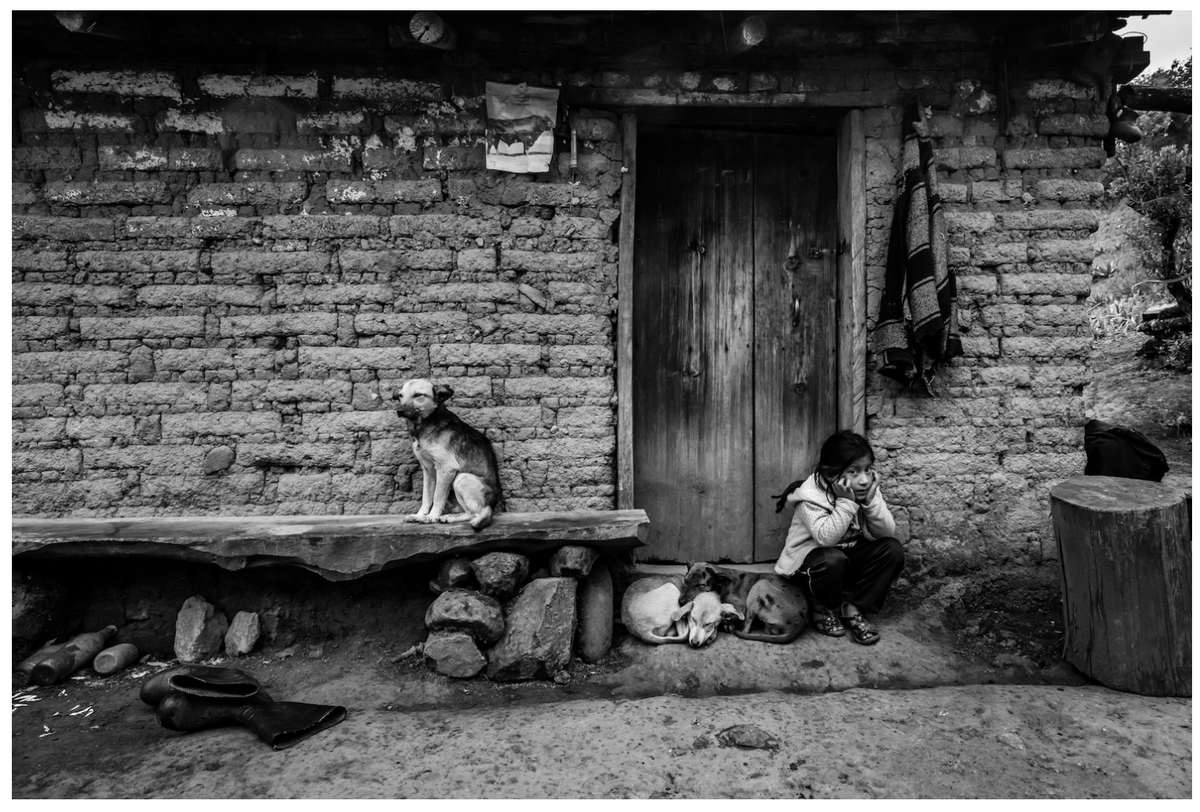 Niña y Perros