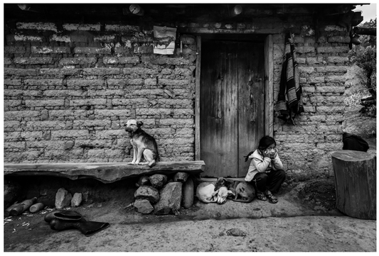 Niña y Perros